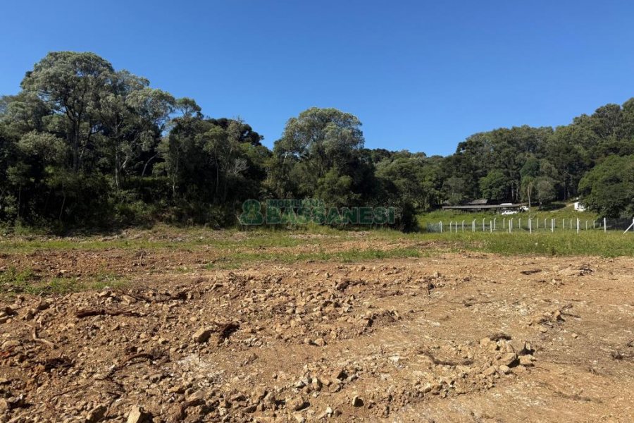 Terreno, no bairro Nossa Senhora do Rosário em Caxias do Sul para Comprar