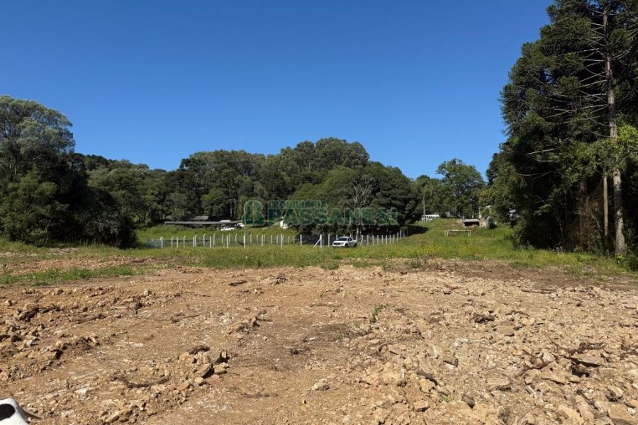Terreno, no bairro Nossa Senhora do Rosário em Caxias do Sul para Comprar