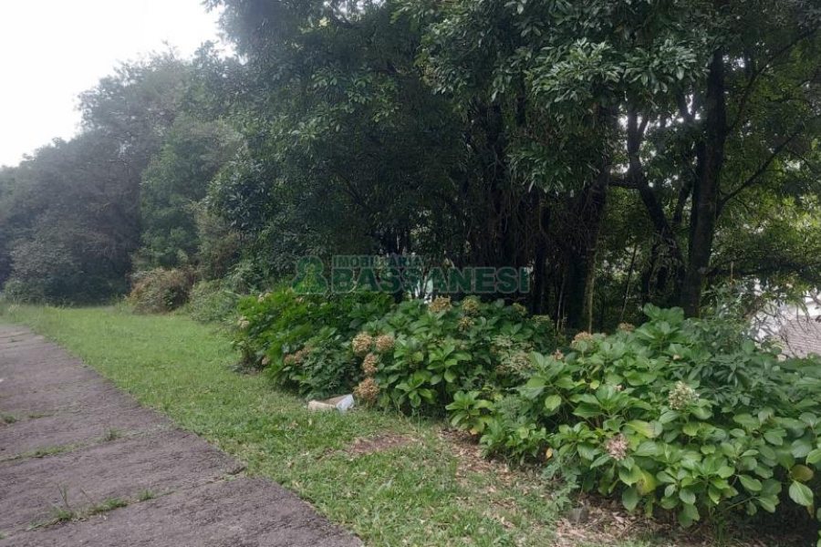 Terreno, no bairro Santa Catarina em Caxias do Sul para Comprar