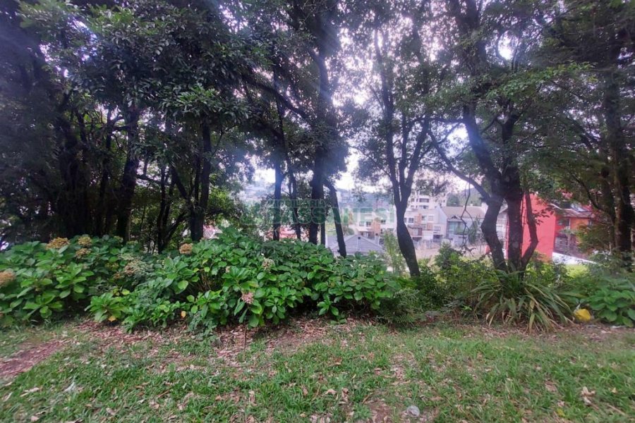 Terreno, no bairro Santa Catarina em Caxias do Sul para Comprar