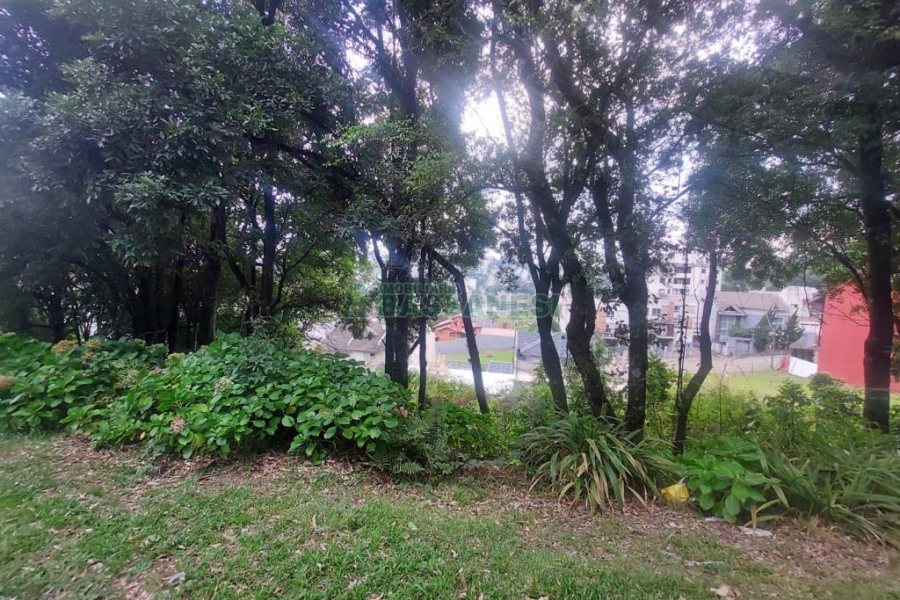 Terreno, no bairro Santa Catarina em Caxias do Sul para Comprar