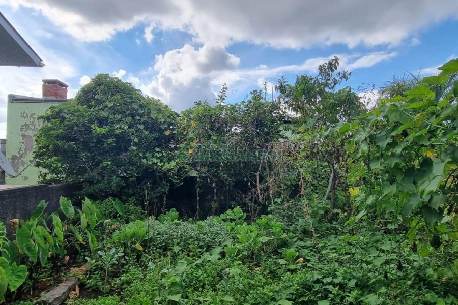 Predio com 893m², no bairro São Ciro em Caxias do Sul para Comprar