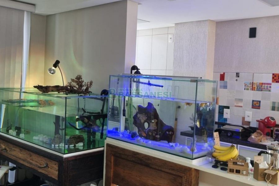 Kitinete com 40m², 1 dormitório, no bairro Pio X em Caxias do Sul para Comprar