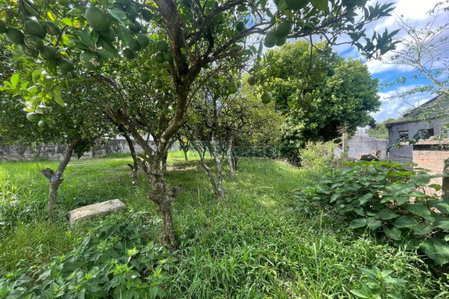 Terreno, no bairro Cinqüentenário em Caxias do Sul para Comprar