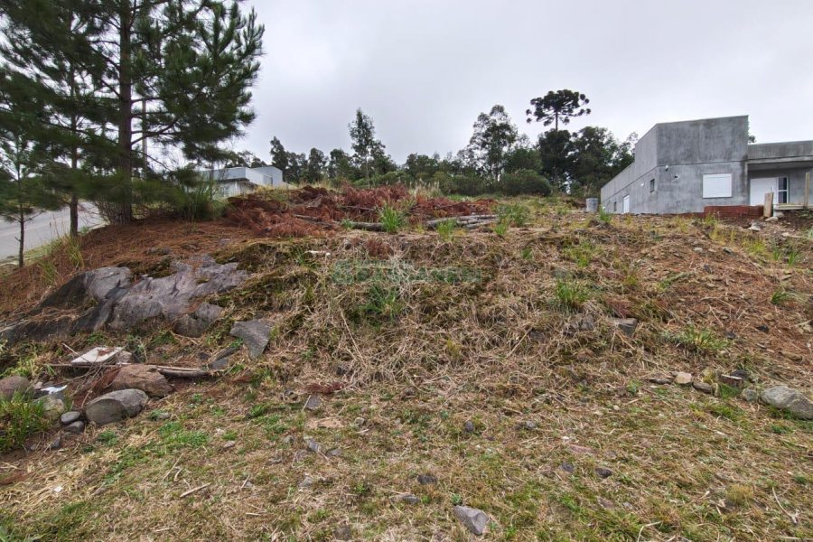 Terreno com 562m², no bairro São Virgílio em Caxias do Sul para Comprar