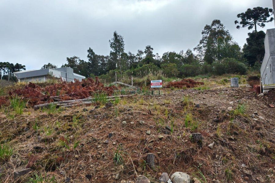 Terreno com 562m², no bairro São Virgílio em Caxias do Sul para Comprar