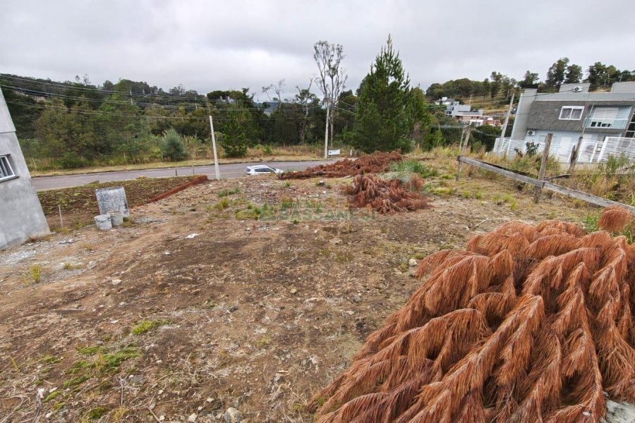 Terreno com 562m², no bairro São Virgílio em Caxias do Sul para Comprar