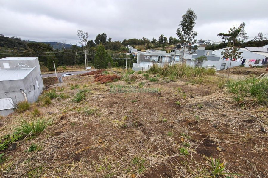 Terreno com 562m², no bairro São Virgílio em Caxias do Sul para Comprar