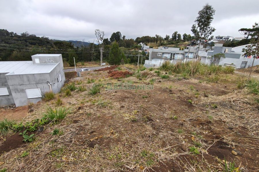 Terreno com 562m², no bairro São Virgílio em Caxias do Sul para Comprar