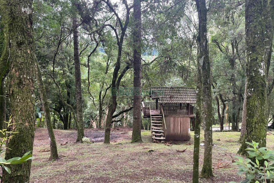 Chácara com 393m², 4 dormitórios, 4 vagas, no bairro Linha 30 em Caxias do Sul para Comprar