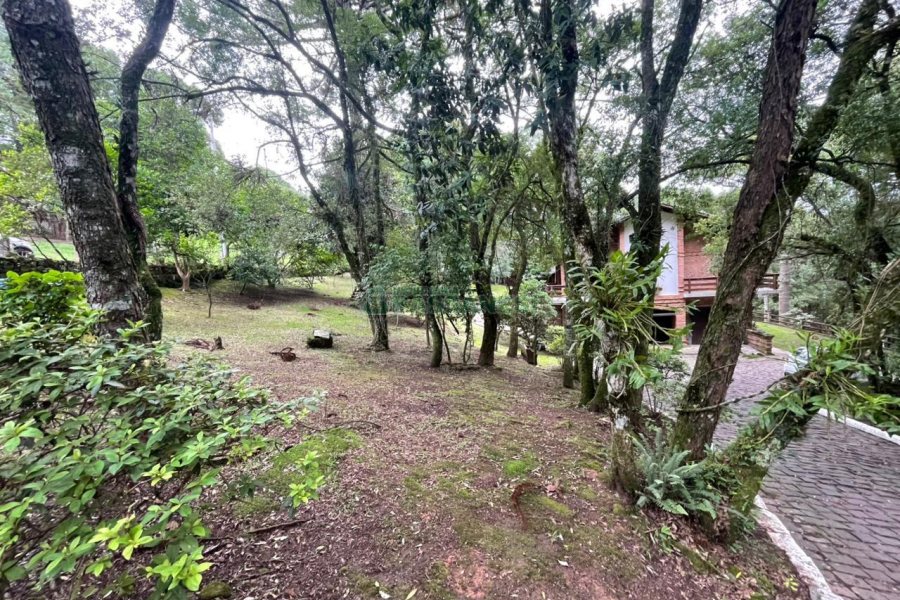 Chácara com 393m², 4 dormitórios, 4 vagas, no bairro Linha 30 em Caxias do Sul para Comprar