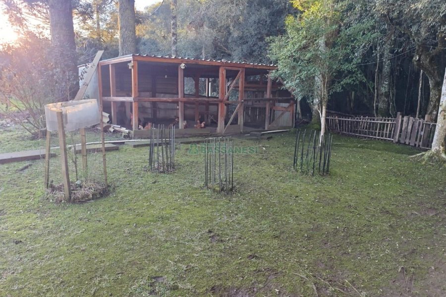 Chácara com 120m², 3 dormitórios, 1 vaga, no bairro Vila Seca em Caxias do Sul para Comprar