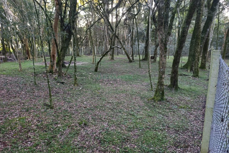 Chácara com 120m², 3 dormitórios, 1 vaga, no bairro Vila Seca em Caxias do Sul para Comprar