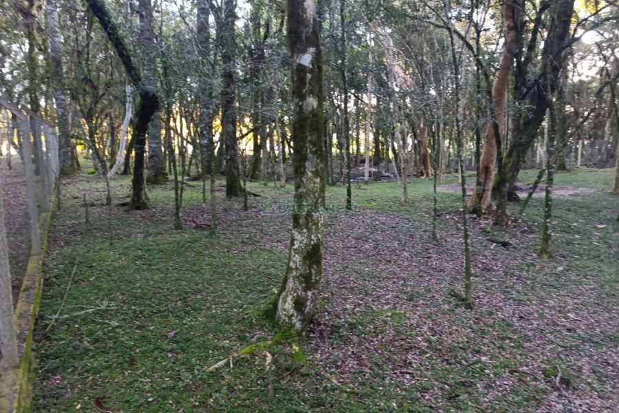 Chácara com 120m², 3 dormitórios, 1 vaga, no bairro Vila Seca em Caxias do Sul para Comprar