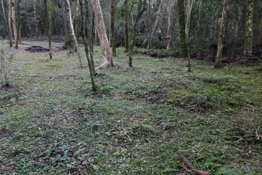 Chácara com 120m², 3 dormitórios, 1 vaga, no bairro Vila Seca em Caxias do Sul para Comprar