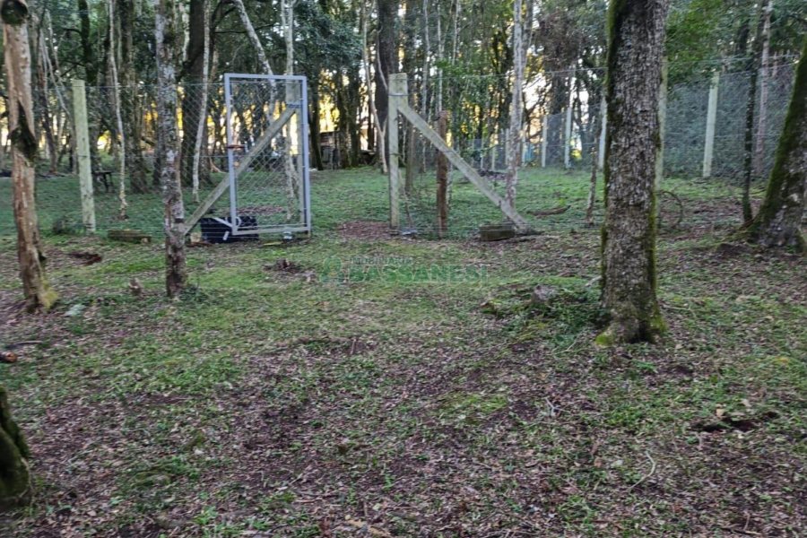Chácara com 120m², 3 dormitórios, 1 vaga, no bairro Vila Seca em Caxias do Sul para Comprar