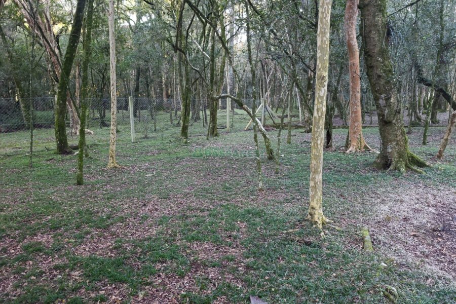 Chácara com 120m², 3 dormitórios, 1 vaga, no bairro Vila Seca em Caxias do Sul para Comprar
