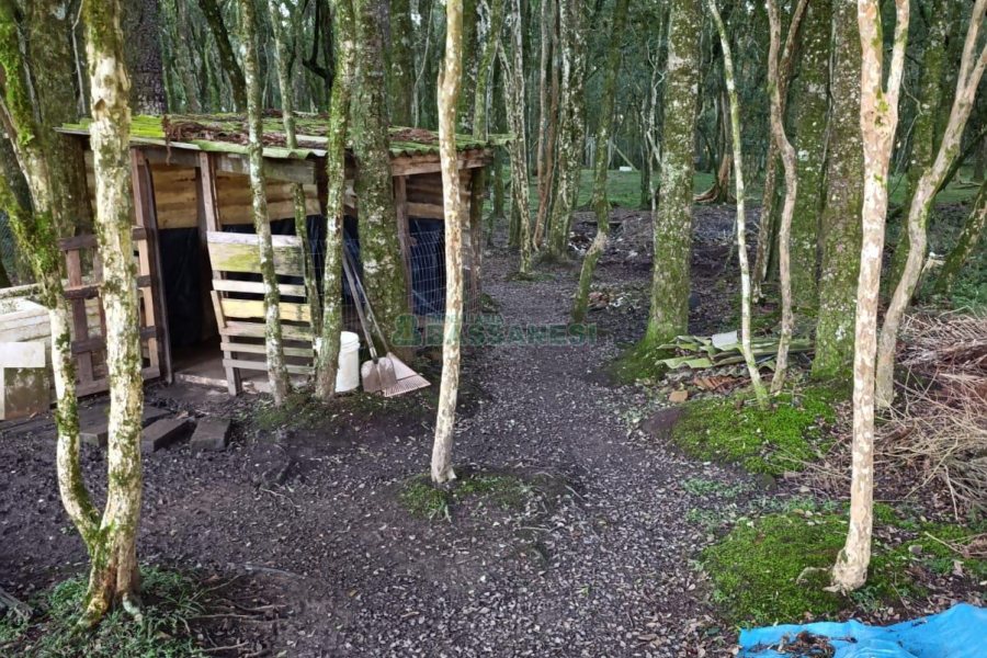 Chácara com 120m², 3 dormitórios, 1 vaga, no bairro Vila Seca em Caxias do Sul para Comprar