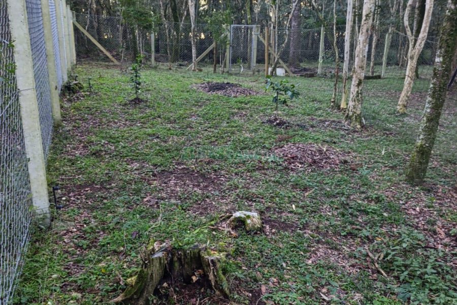 Chácara com 120m², 3 dormitórios, 1 vaga, no bairro Vila Seca em Caxias do Sul para Comprar