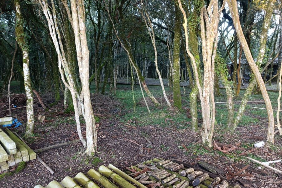 Chácara com 120m², 3 dormitórios, 1 vaga, no bairro Vila Seca em Caxias do Sul para Comprar
