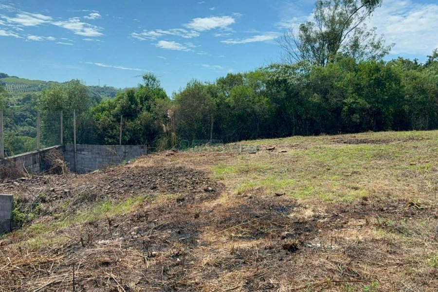 Terreno com 1000m², no bairro Monte Bérico em Caxias do Sul para Comprar