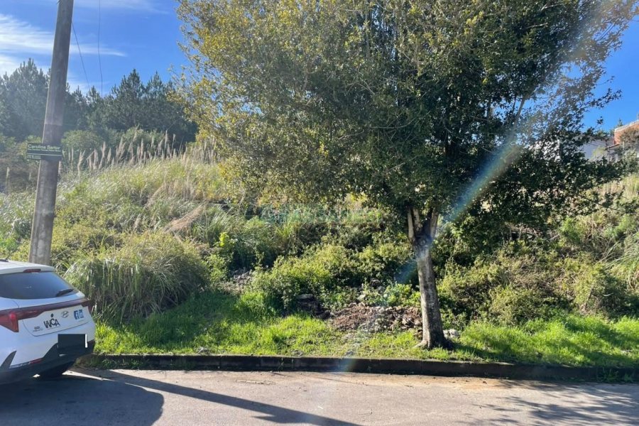 Terreno com 300m², no bairro Nossa Senhora da Conceição em Caxias do Sul para Comprar