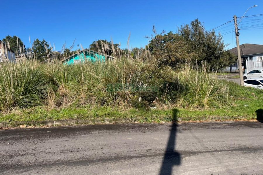 Terreno com 300m², no bairro Nossa Senhora da Conceição em Caxias do Sul para Comprar