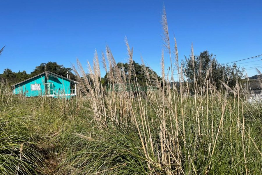 Terreno com 300m², no bairro Nossa Senhora da Conceição em Caxias do Sul para Comprar