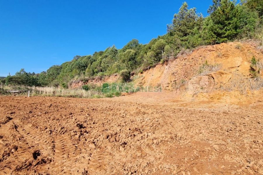 Terreno com 5455m², no bairro Maestra em Caxias do Sul para Comprar