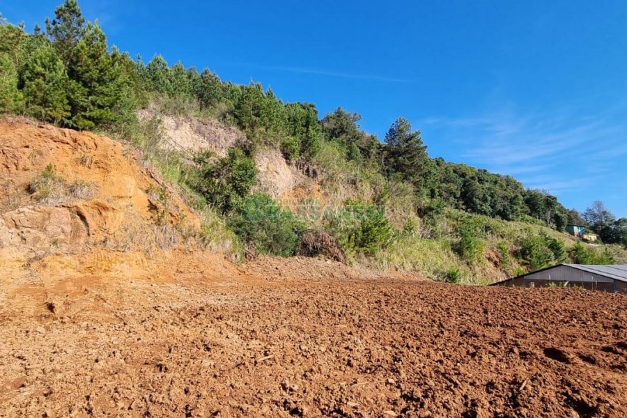 Terreno com 5455m², no bairro Maestra em Caxias do Sul para Comprar