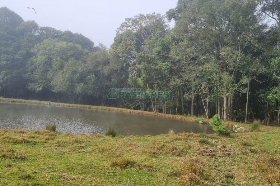 Chácara com 200m², 3 dormitórios, 1 vaga, no bairro Ana Rech em Caxias do Sul para Comprar