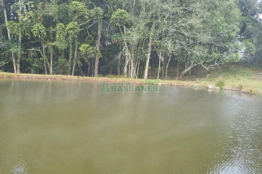 Chácara com 200m², 3 dormitórios, 1 vaga, no bairro Ana Rech em Caxias do Sul para Comprar
