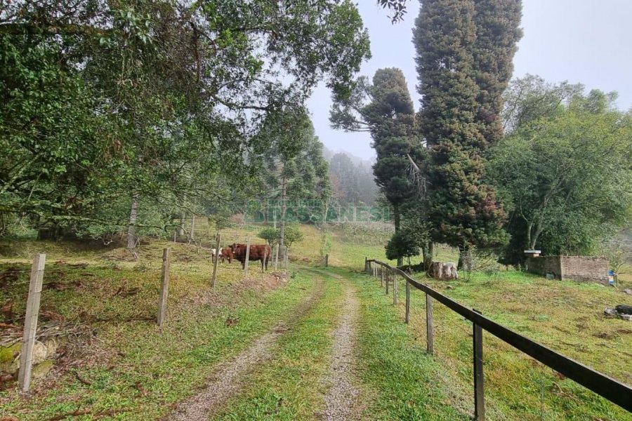Chácara com 200m², 3 dormitórios, 1 vaga, no bairro Ana Rech em Caxias do Sul para Comprar