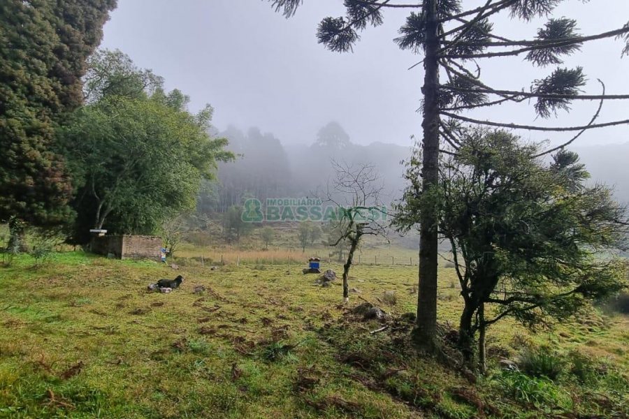 Chácara com 200m², 3 dormitórios, 1 vaga, no bairro Ana Rech em Caxias do Sul para Comprar