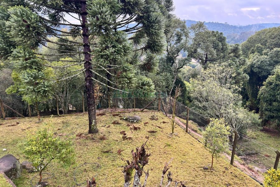 Casa com 400m², 2 dormitórios, 2 vagas, no bairro Ana Rech em Caxias do Sul para Alugar