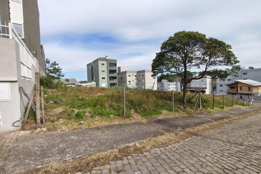 Terreno com 360m², no bairro São Luiz em Caxias do Sul para Comprar