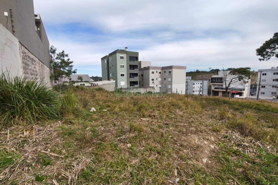 Terreno com 360m², no bairro São Luiz em Caxias do Sul para Comprar