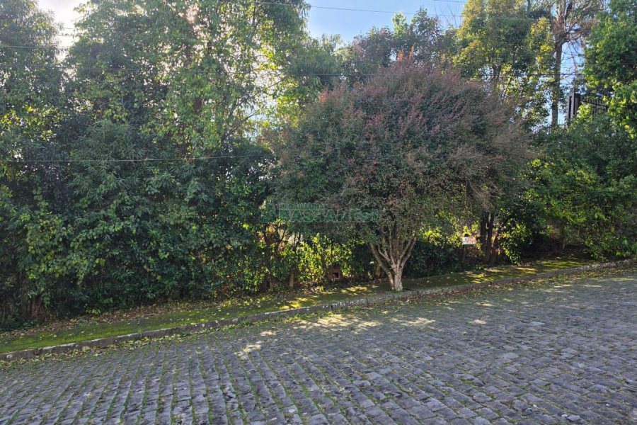 Terreno com 801m², no bairro Cinqüentenário em Caxias do Sul para Comprar