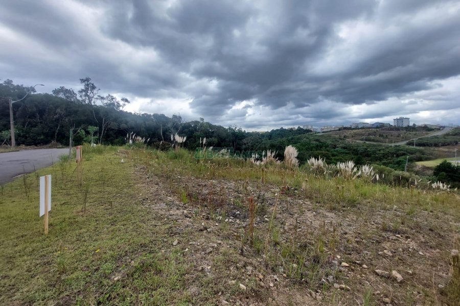 Terreno, no bairro São Giácomo em Caxias do Sul para Comprar