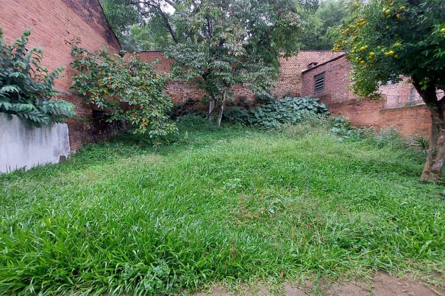 Casa com 220m², 4 dormitórios, 5 vagas, no bairro Panazzolo em Caxias do Sul para Comprar