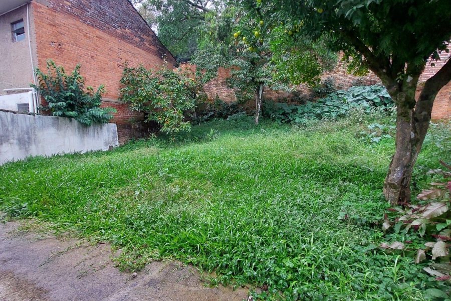 Casa com 220m², 4 dormitórios, 5 vagas, no bairro Panazzolo em Caxias do Sul para Comprar