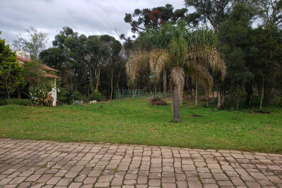 Terreno com 1091m², no bairro Monte Bérico em Caxias do Sul para Comprar