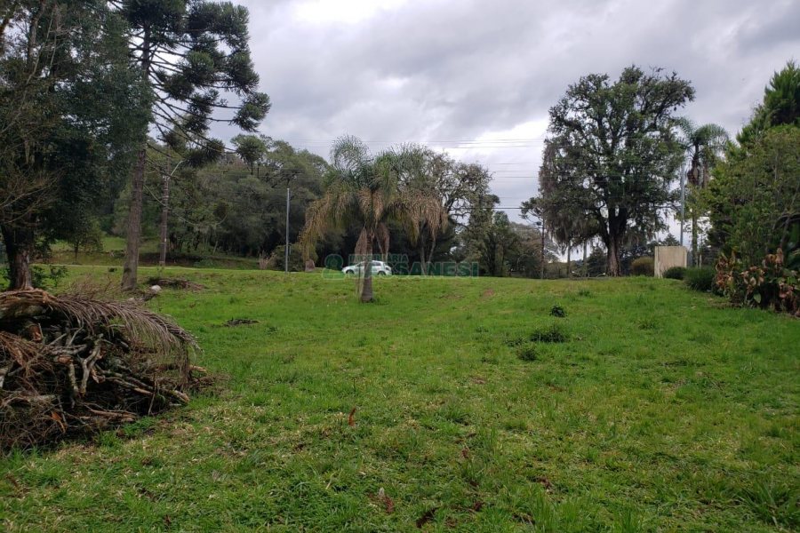 Terreno com 1091m², no bairro Monte Bérico em Caxias do Sul para Comprar