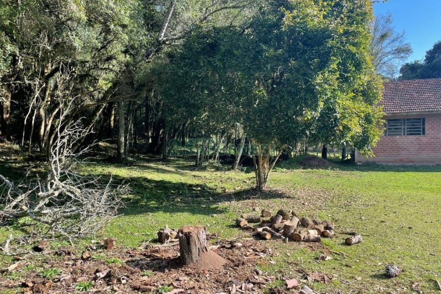 Casa Mobiliada com 300m², 3 dormitórios, 1 vaga, no bairro Vila Seca em Caxias do Sul para Alugar
