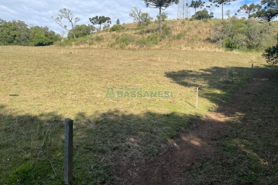 Casa Mobiliada com 300m², 3 dormitórios, 1 vaga, no bairro Vila Seca em Caxias do Sul para Alugar