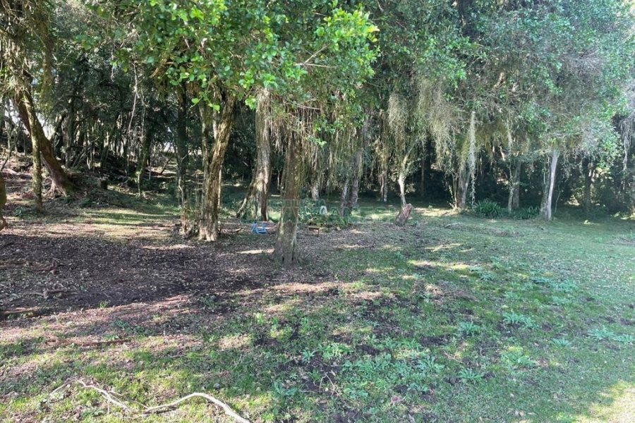 Casa Mobiliada com 300m², 3 dormitórios, 1 vaga, no bairro Vila Seca em Caxias do Sul para Alugar