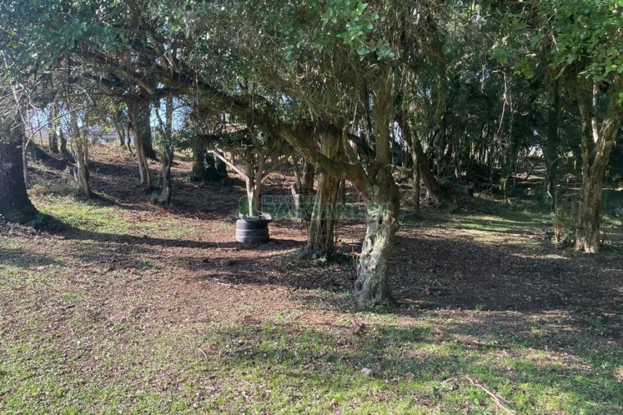 Casa Mobiliada com 300m², 3 dormitórios, 1 vaga, no bairro Vila Seca em Caxias do Sul para Alugar