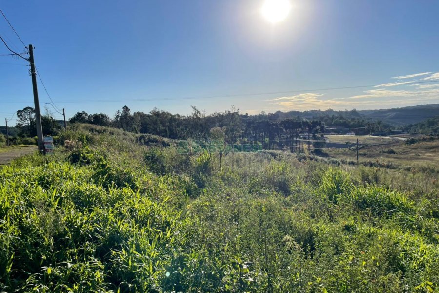 Terreno com 360m², no bairro Monte Bérico em Caxias do Sul para Comprar