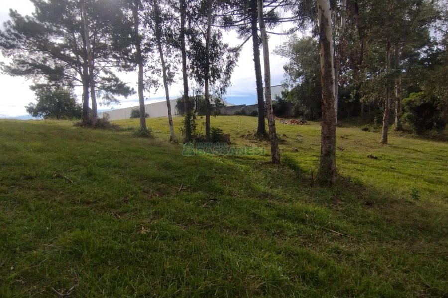 Chácara com 63810m², no bairro Cruzeiro em Caxias do Sul para Comprar