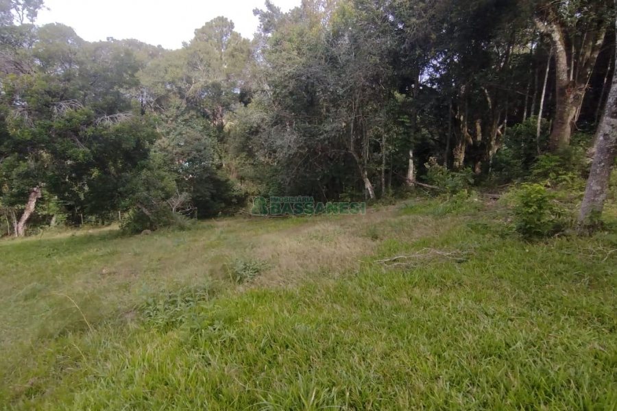 Chácara com 63810m², no bairro Cruzeiro em Caxias do Sul para Comprar